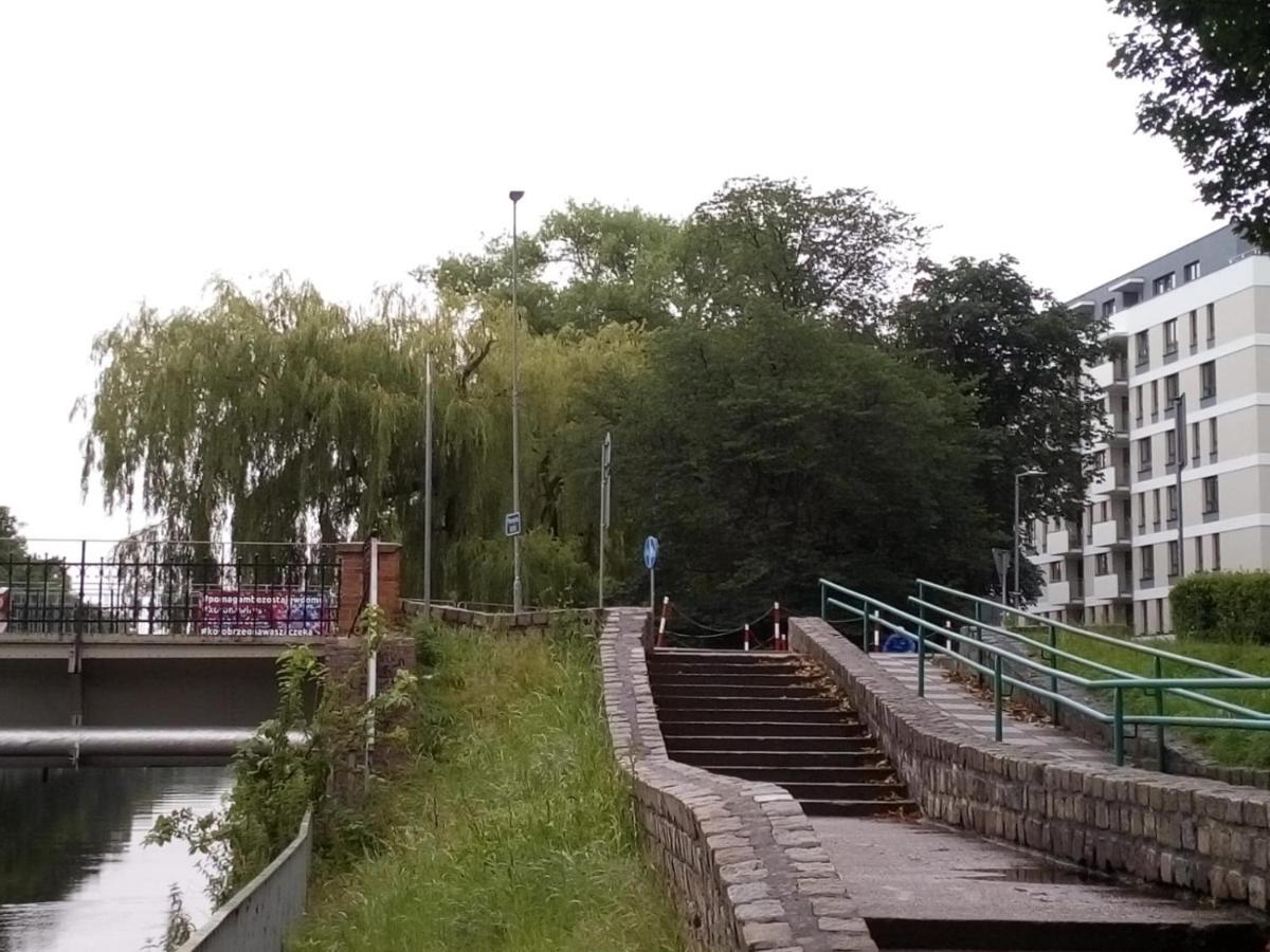 Szmaragdowy Platan *